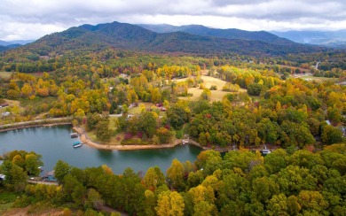 BEAUTIFULLY WOODED LAKE FRONT LOT IN THE MOUNTAINS OF NORTH - Lake Lot For Sale in Hayesville, North Carolina