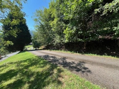 Lake Lot For Sale in Hiawassee, Georgia