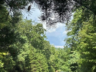 (private lake, pond, coastal) Acreage For Sale in Ellijay Georgia