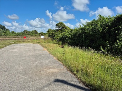 Lehigh Acres Area Lot For Sale in Lehigh Acres Florida