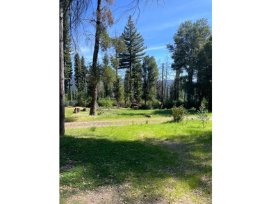 A rare blend of sunshine, serenity, and usable land awaits at - photo 1