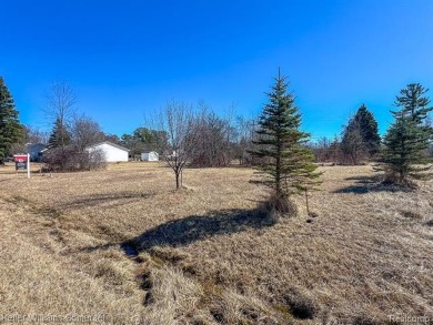 Lake Huron - Sanilac County Lot For Sale in Lexington Michigan