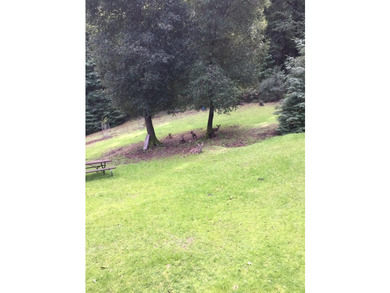 A rare blend of sunshine, serenity, and usable land awaits at - photo 5