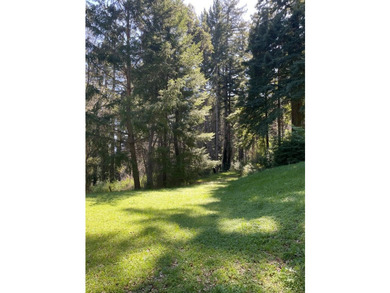 A rare blend of sunshine, serenity, and usable land awaits at - photo 6