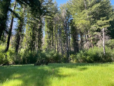 A rare blend of sunshine, serenity, and usable land awaits at - photo 9
