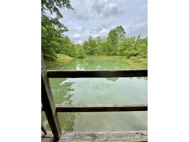Nestled in the peaceful countryside of Tyner, KY, 88 Mae Gumm Rd - photo 33