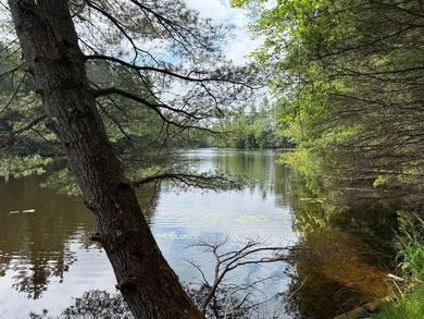 This serene waterfront lot sits on the thoroughfare off Long - photo 2