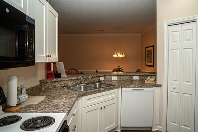 Welcome to your new 2 bed/2 bathroom condo located in the - photo 6