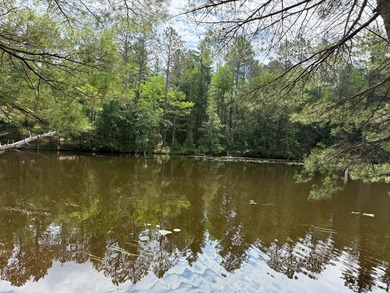 This serene waterfront lot sits on the thoroughfare off Long - photo 6