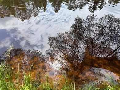 This serene waterfront lot sits on the thoroughfare off Long - photo 7