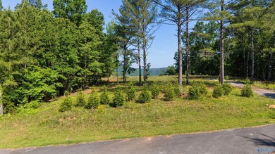 Build your dream home on this stunning 2.9-acre cleared lot - photo 1