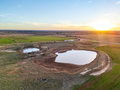 (private lake, pond, creek) Home For Sale in Olney Texas