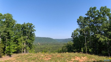 Build your dream home on this stunning 2.9-acre cleared lot - photo 2