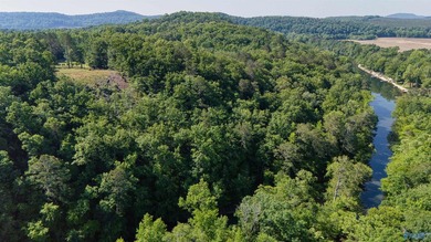Build your dream home on this stunning 2.9-acre cleared lot - photo 3