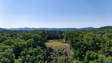 Build your dream home on this stunning 2.9-acre cleared lot - photo 4