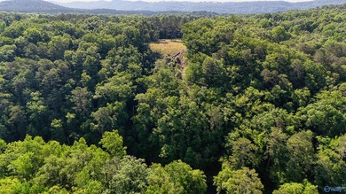 Build your dream home on this stunning 2.9-acre cleared lot - photo 5