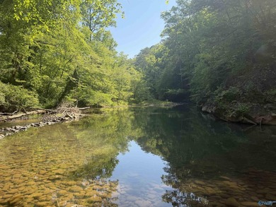 Build your dream home on this stunning 2.9-acre cleared lot - photo 6