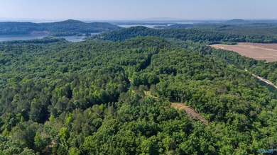 Build your dream home on this stunning 2.9-acre cleared lot - photo 7