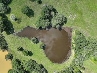 Scroll to the bottom of the brochure for the drone video! Rich - photo 27