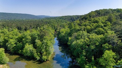 Build your dream home on this stunning 2.9-acre cleared lot - photo 9