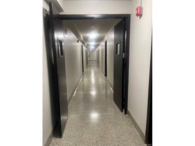 Completely Renovated Unit in the beautiful Mona Lisa Building - photo 5