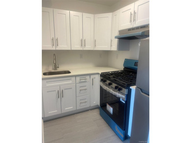 Completely Renovated Unit in the beautiful Mona Lisa Building - photo 6