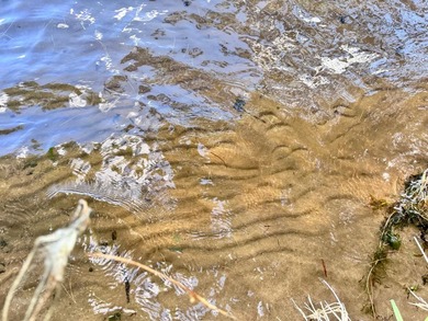 Rare Gunlock Lake building opportunity on the highly - photo 6