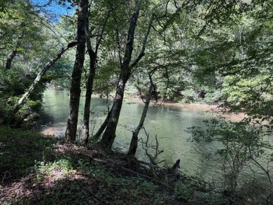 Lake Home For Sale in Ellijay, Georgia