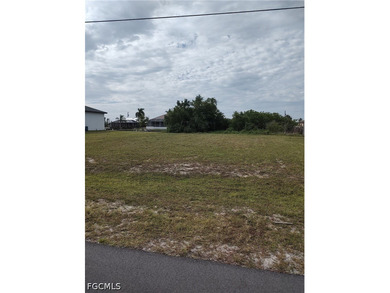 Don't miss this great building lot in popular and fast growing - photo 5