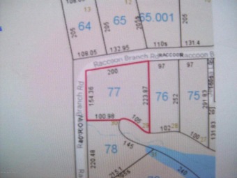 Lewis Smith Lake Lot For Sale in Jasper Alabama