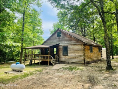 Arkabutla Lake Home Sale Pending in Coldwater Mississippi