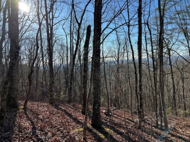 Lake Acreage For Sale in Ranger, Georgia