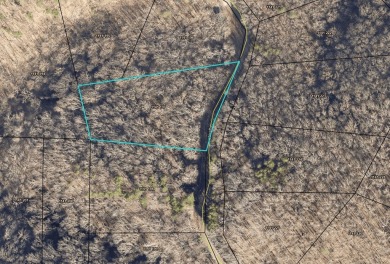 Lake Lot For Sale in Ranger, Georgia