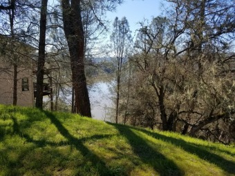 Lake Nacimiento Lot SOLD! in Bradley California