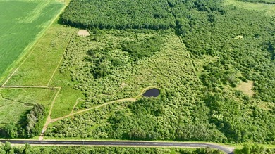 (private lake, pond, creek) Acreage Active Under Contract in Deerbrook Wisconsin