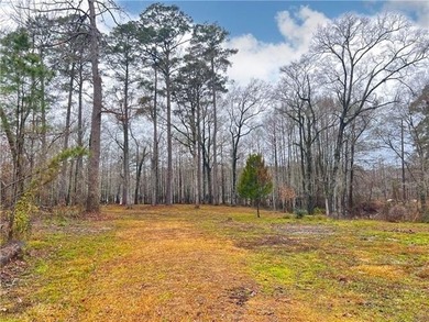 (pending lake) Acreage For Sale in Colfax Louisiana