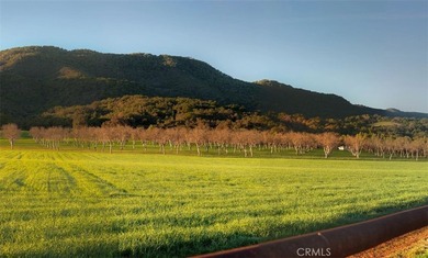 Great opportunity to own a brand new home in Ventura, a - photo 8