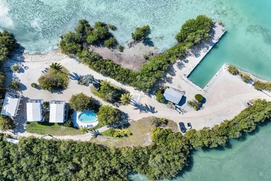 Rare, private island with white, sandy beach in the Florida Keys - photo 1