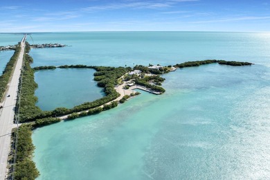 Rare, private island with white, sandy beach in the Florida Keys - photo 2