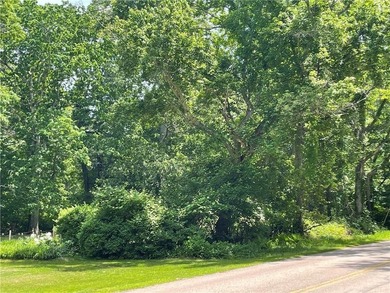 **Highest & Best Due Saturday, 5/30 by 12:30 PM** In the heart - photo 12