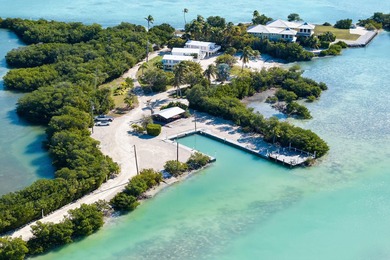Rare, private island with white, sandy beach in the Florida Keys - photo 3