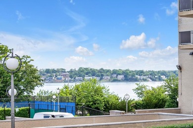 3-Level Townhouse at Water's Edge - Space, Lifestyle - photo 13