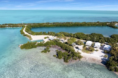 Rare, private island with white, sandy beach in the Florida Keys - photo 4