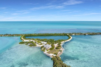 Rare, private island with white, sandy beach in the Florida Keys - photo 6