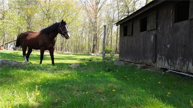 **Highest & Best Due Saturday, 5/30 by 12:30 PM** In the heart - photo 18