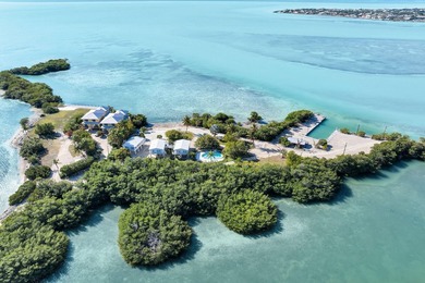 Rare, private island with white, sandy beach in the Florida Keys - photo 9