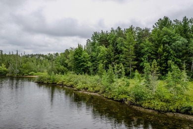 Wonderful lakefront privacy on 145 AC DEER LAKE, featuring the - photo 9