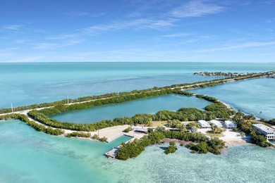 Rare, private island with white, sandy beach in the Florida Keys - photo 10