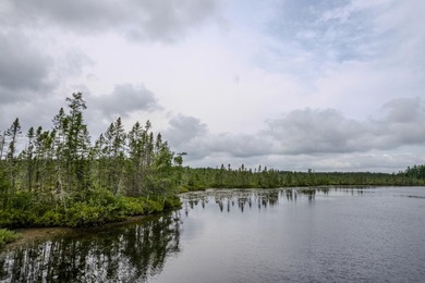 Wonderful lakefront privacy on 145 AC DEER LAKE, featuring the - photo 10