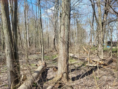 Lake Lot For Sale in Allegan, Michigan